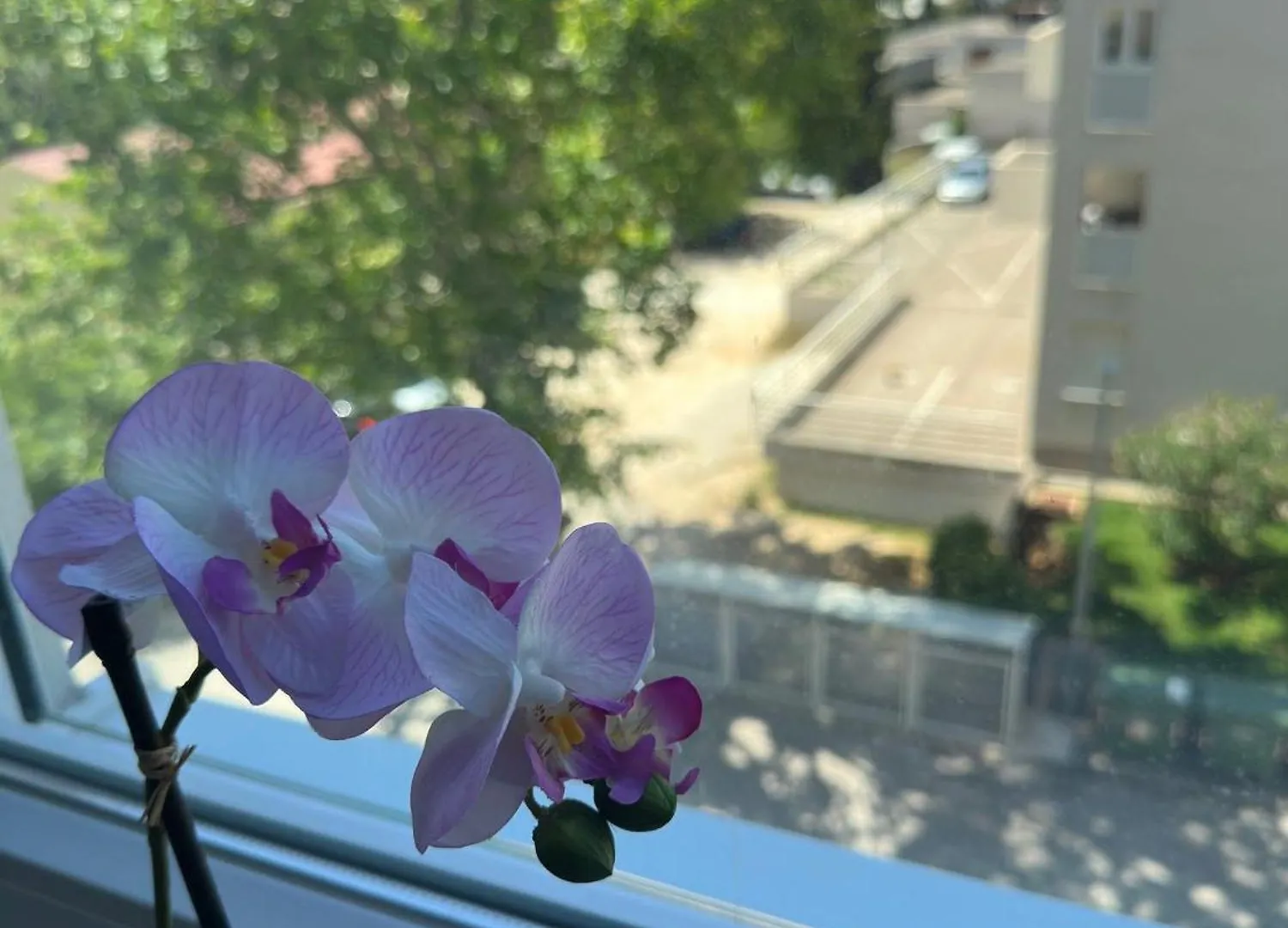 Apartman Sunlight Zadar Kroatien